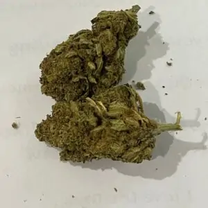 Thé aux fleurs de Cbd